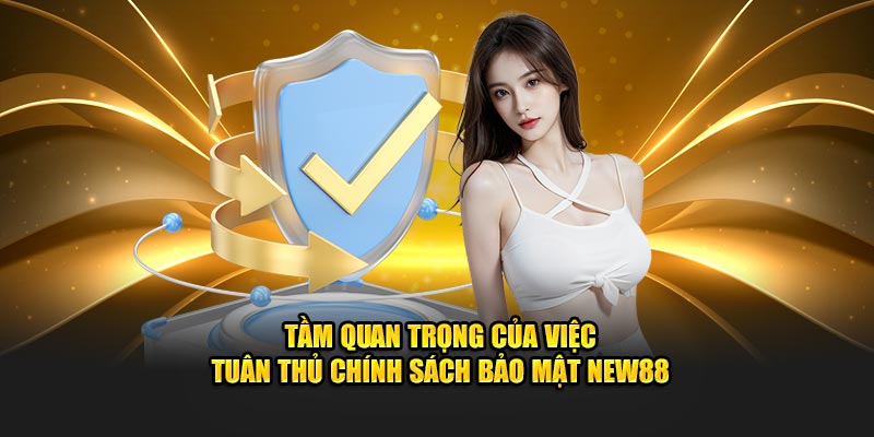 Tầm quan trọng của việc tuân thủ chính sách bảo mật New88
